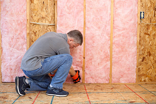 Best Garage Insulation Installation  in USA